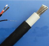 WDZ-DCK，WDZ-DCKP-125，DCEVM機車電纜