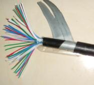 PTYA22，PTY22，PTYV信號電纜